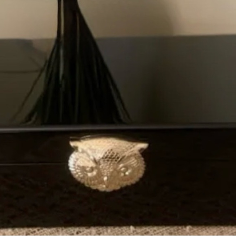 C. Wonder Gold Owl Jewelry Box